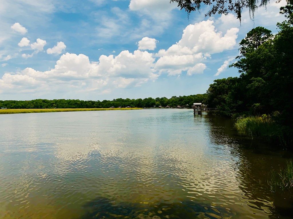 0 Peters Point Road Edisto Island, SC 29438 - Photo 9 of 11 Gallery Image 9