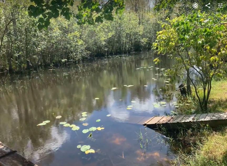 11666 Steele Field Road Vernon, FL 32462 - Photo 8 of 23 Capture