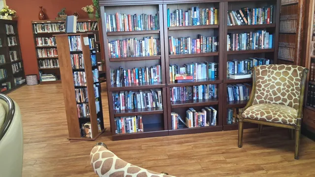 a view of a lake from a swimming pool