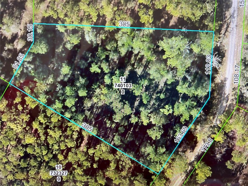 Softstone Drive Webster, FL 33597 - Photo 1 of 1 a picture of tree