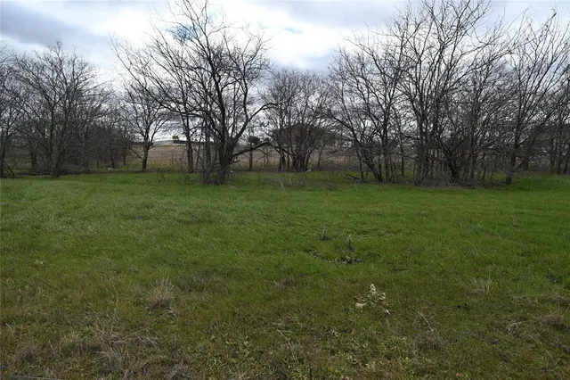 a view of a field with an trees