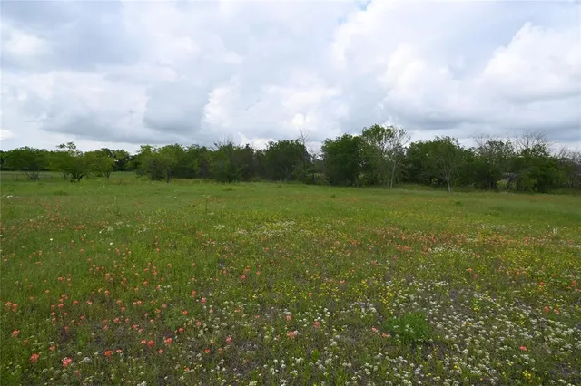 a view of grassy field with trees