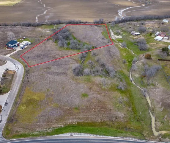 a view of banana tree