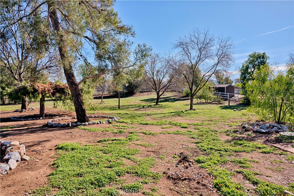 33342 Trail Ranch Road Agua Dulce, CA 91390 - Photo 14 of 40 a view of a yard with a tree