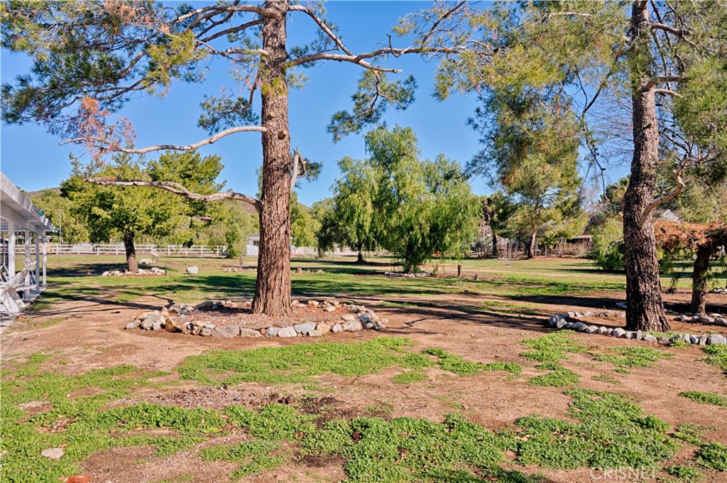 33342 Trail Ranch Road Agua Dulce, CA 91390 - Photo 10 of 40 She Shed in background from the yard behind the house