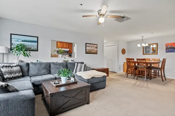 a living room with furniture potted plant and window
