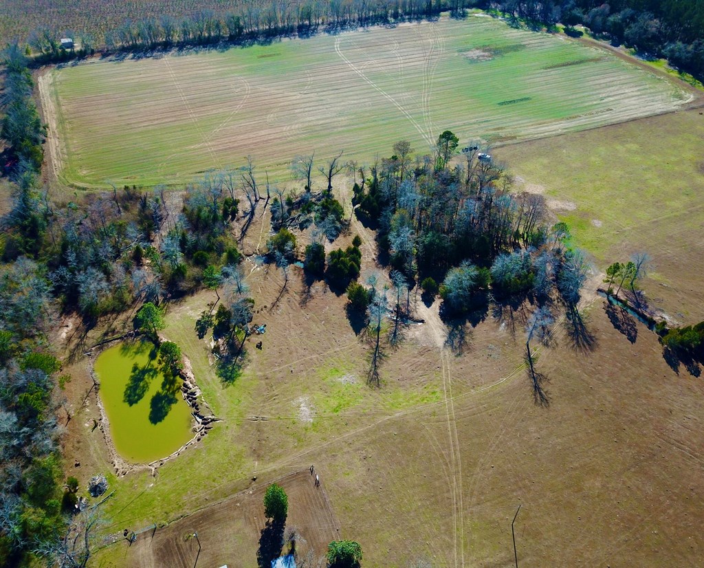 12.7-acres Nobles Road Dothan, AL 36301 - Photo 9 of 41