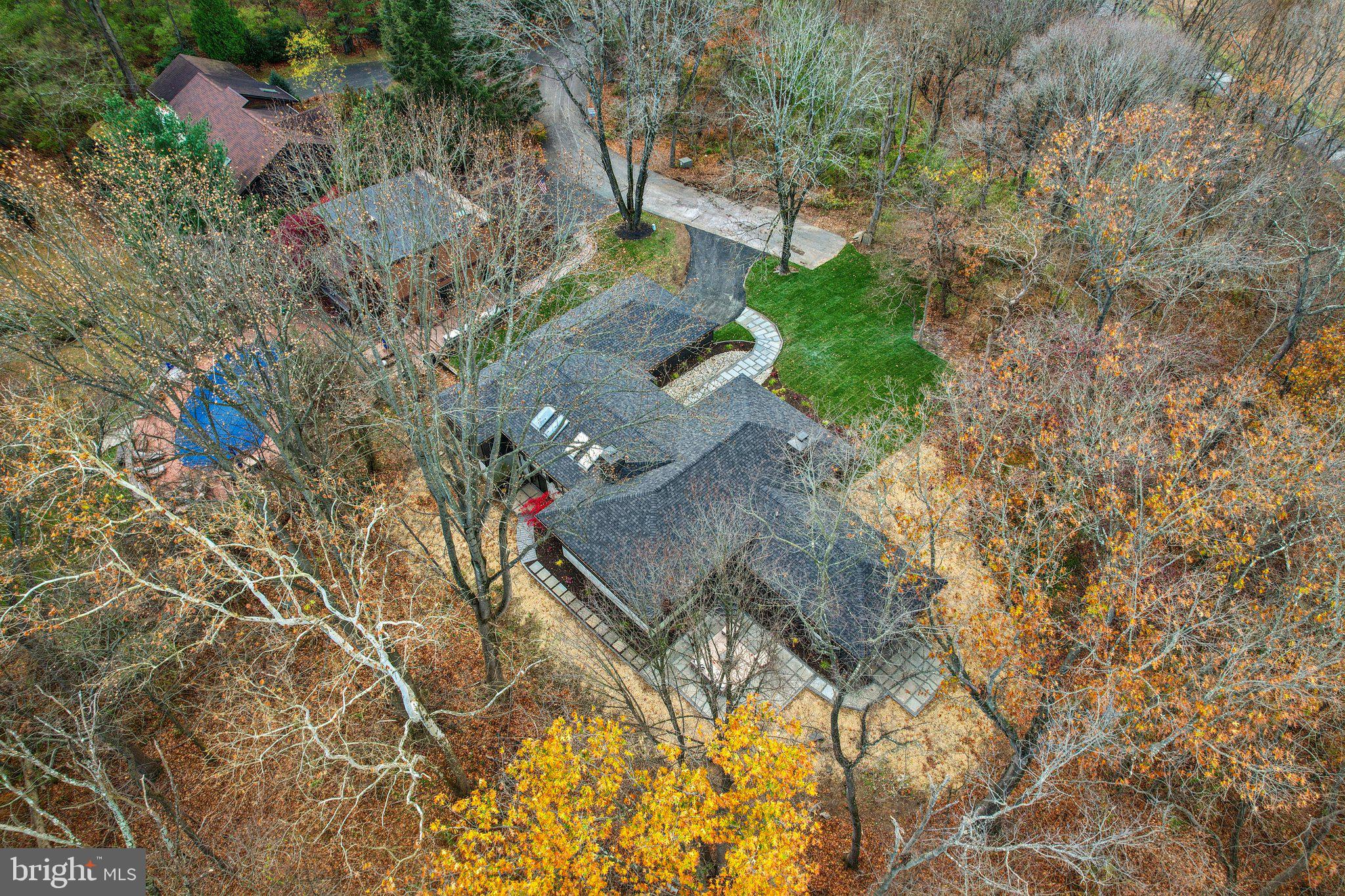 38 Ringfield Road Chadds Ford, PA 19317 - Photo 48 of 50 a view of a yard with plants