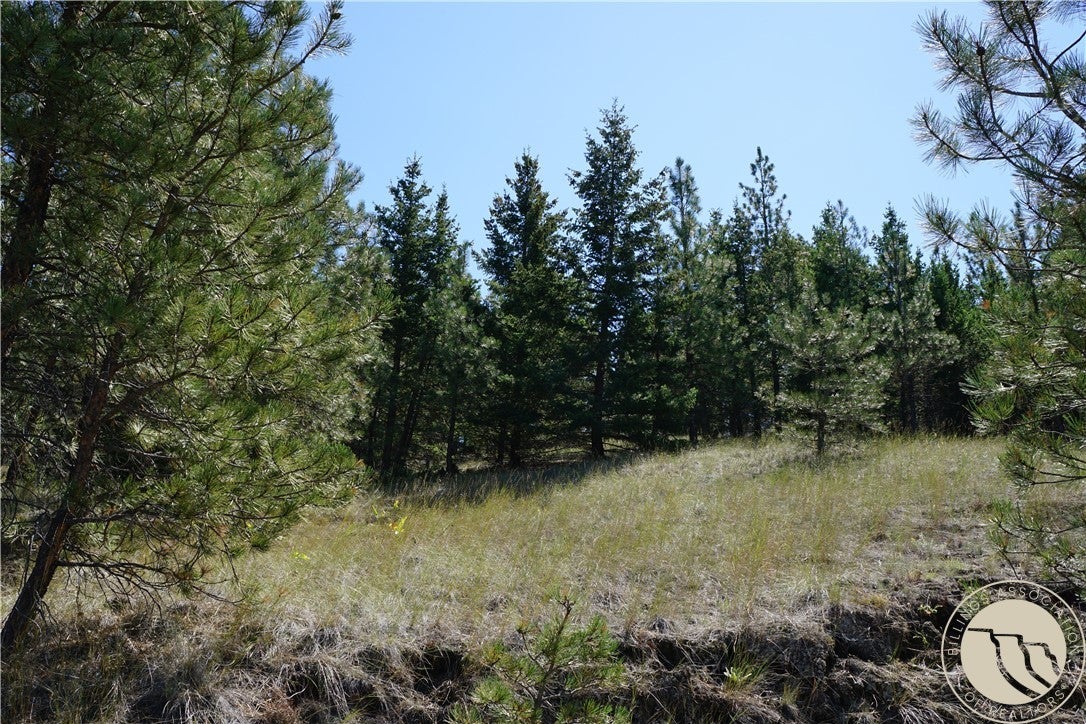 Tbd Ridge Crest Lane Cascade, MT 59421 - Photo 25 of 26 Gallery Image 25