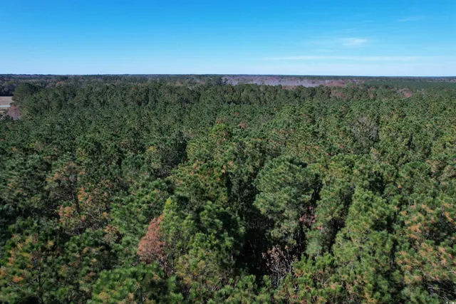 $75,050 | 7.90-acres-tbd Puncheon Creek Drive, Andrews, SC 29510