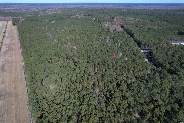 $75,050 | 7.90-acres-tbd Puncheon Creek Drive, Andrews, SC 29510