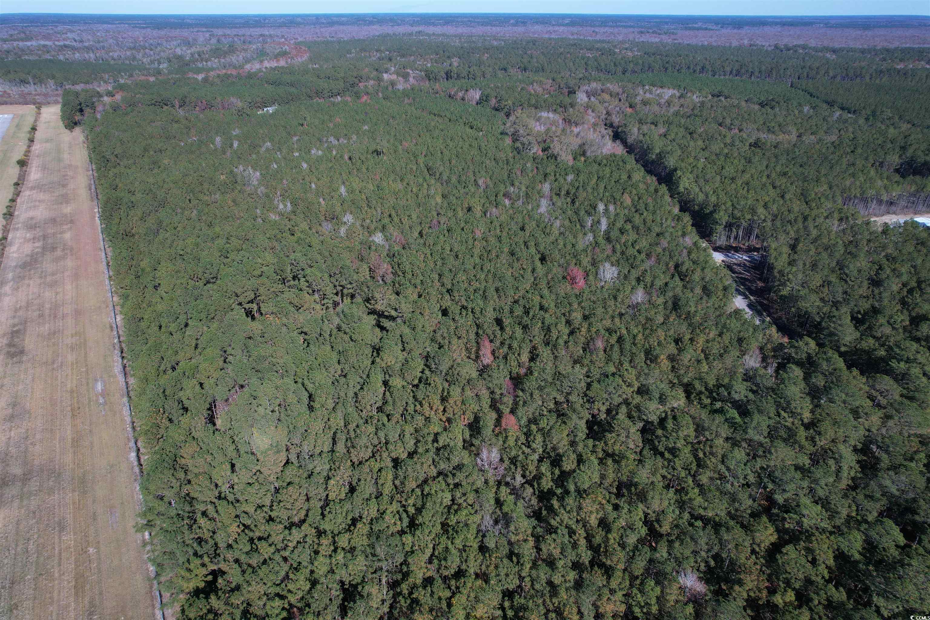 7.90-acres-tbd Puncheon Creek Drive Andrews, SC 29510 - Photo 2 of 7