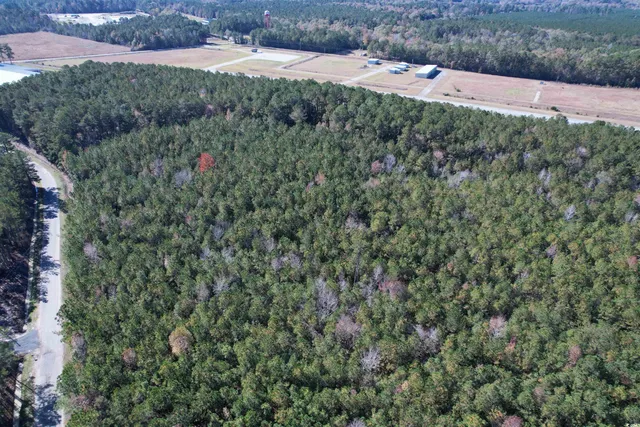 $75,050 | 7.90-acres-tbd Puncheon Creek Drive, Andrews, SC 29510