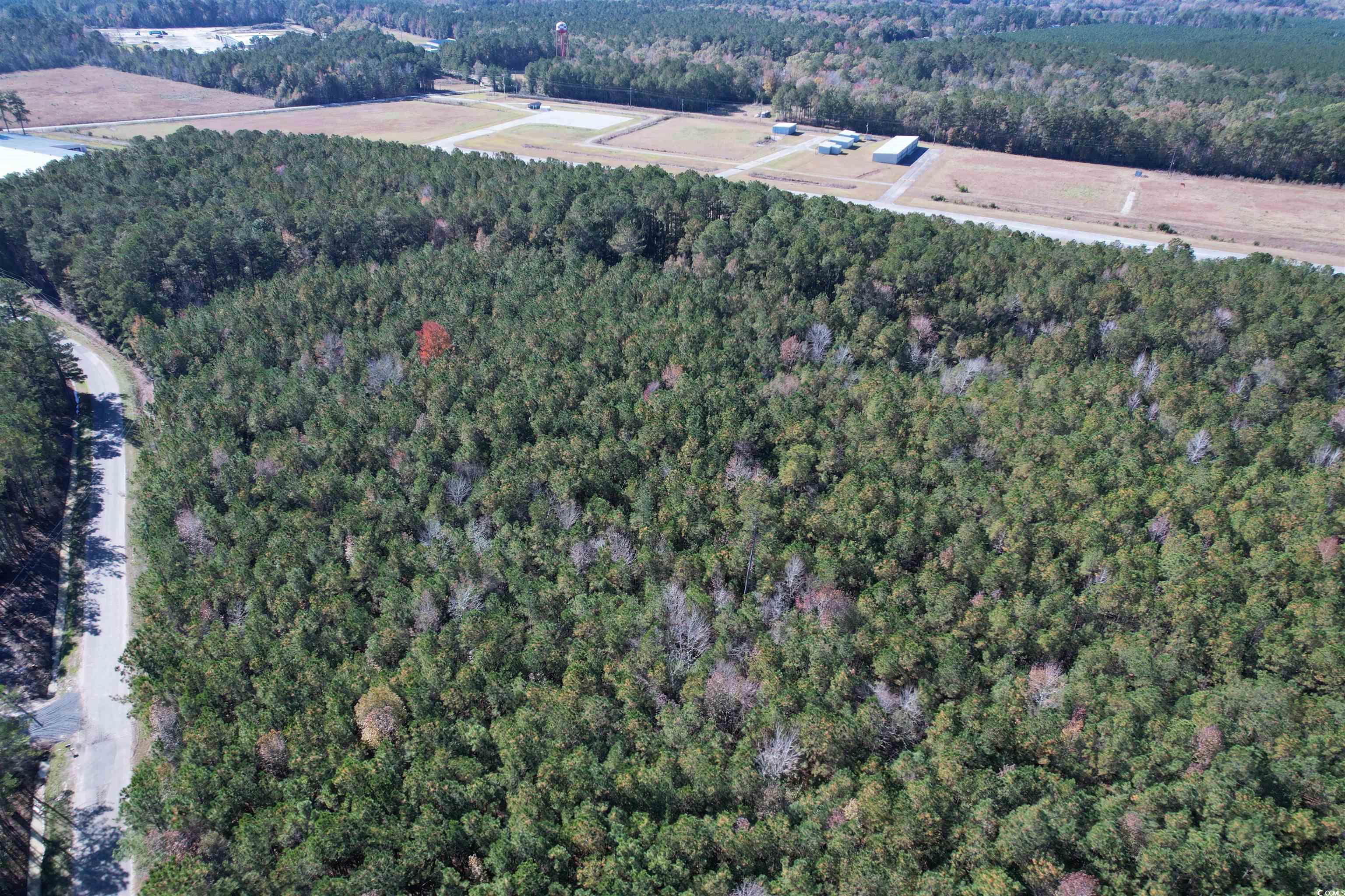 7.90-acres-tbd Puncheon Creek Drive Andrews, SC 29510 - Photo 3 of 7