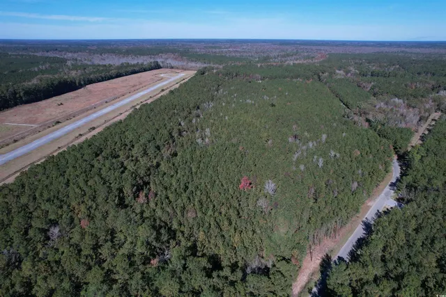 $75,050 | 7.90-acres-tbd Puncheon Creek Drive, Andrews, SC 29510