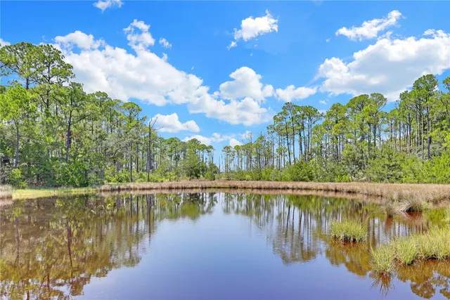 $465,000 | 96159 Piney Island Drive, Fernandina Beach, FL 32034
