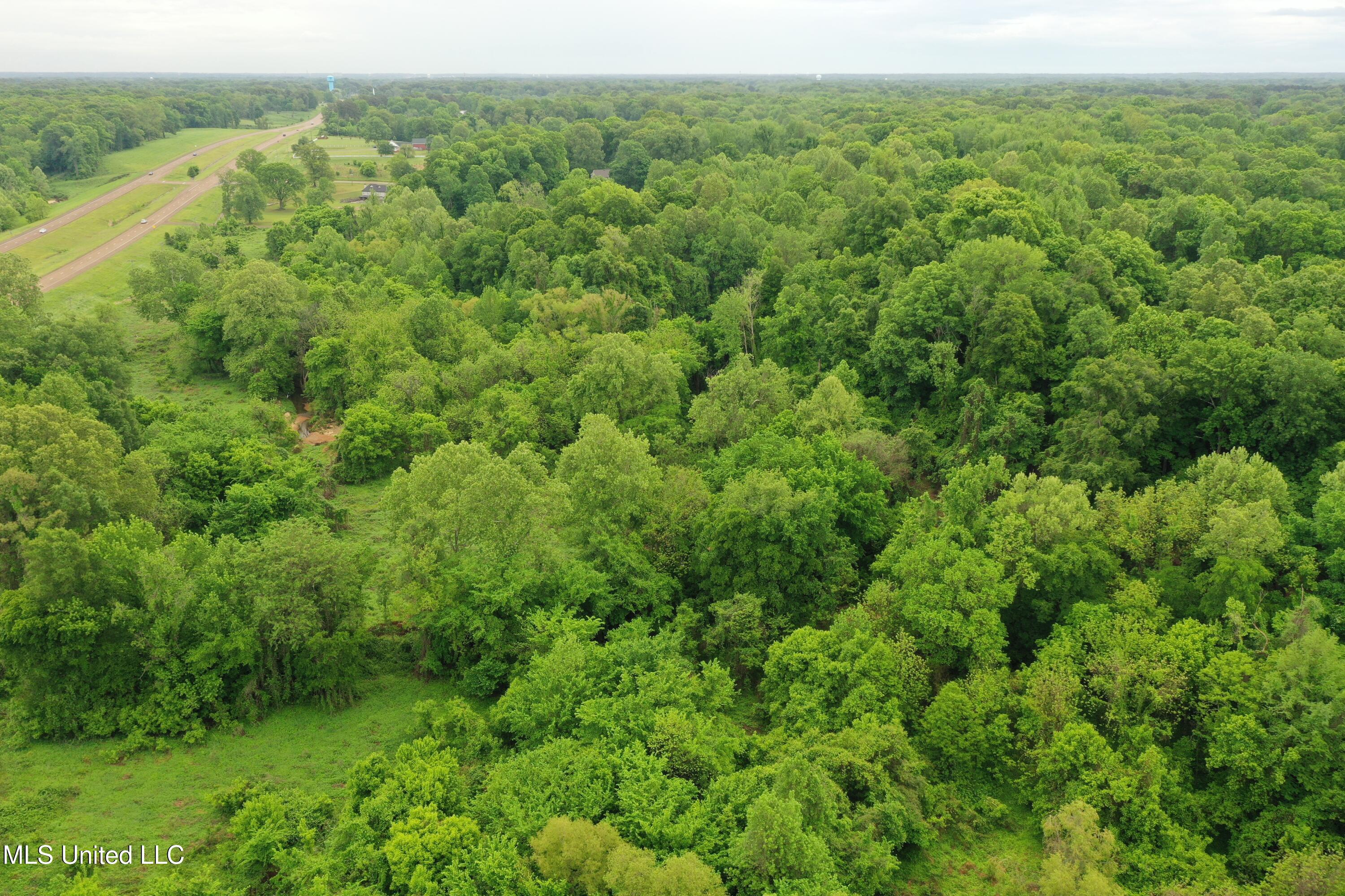 8311 Highway 302 Road Walls, MS 38680 - Photo 11 of 54 DJI_0622