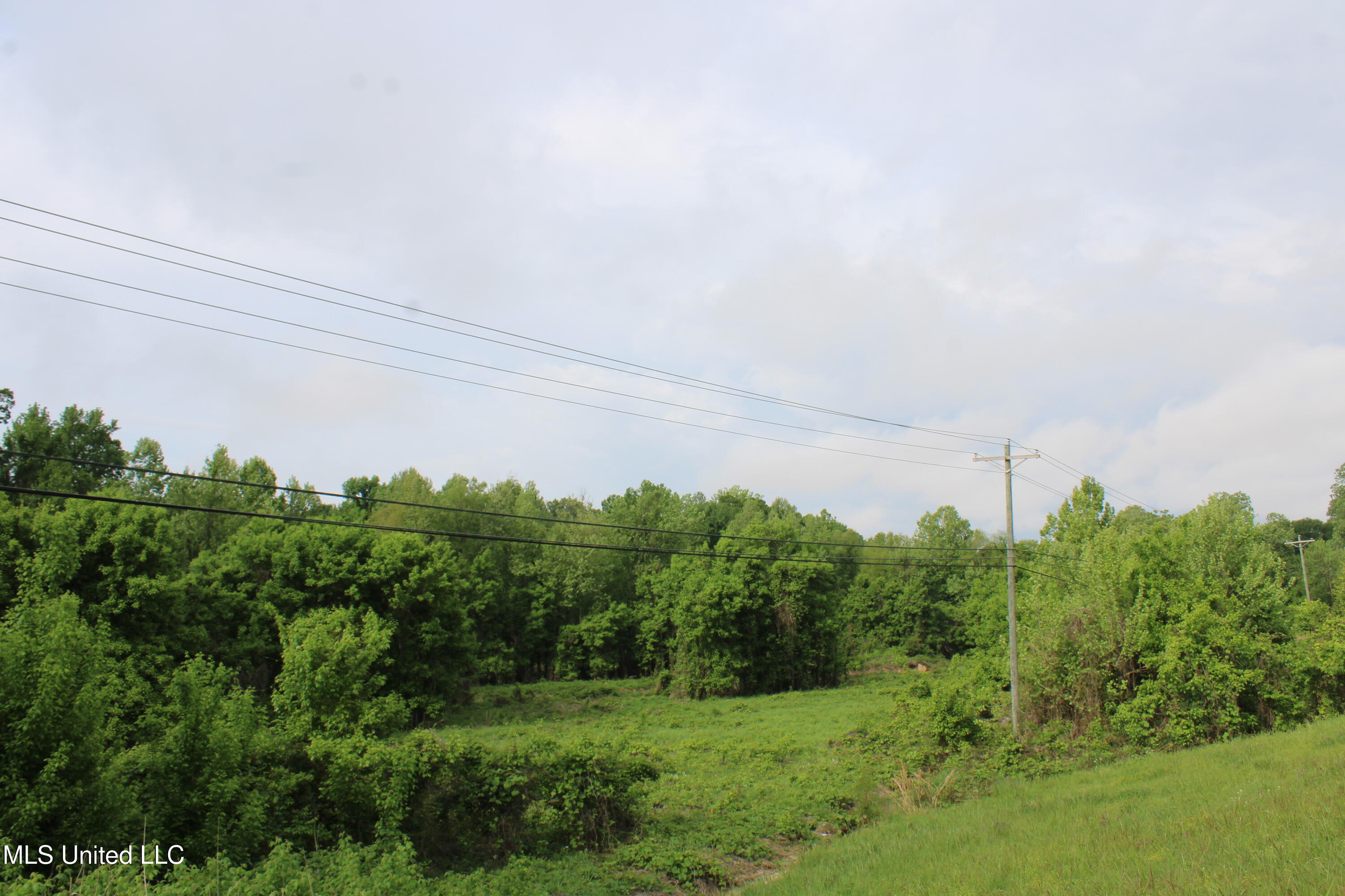 8311 Highway 302 Road Walls, MS 38680 - Photo 13 of 54 land