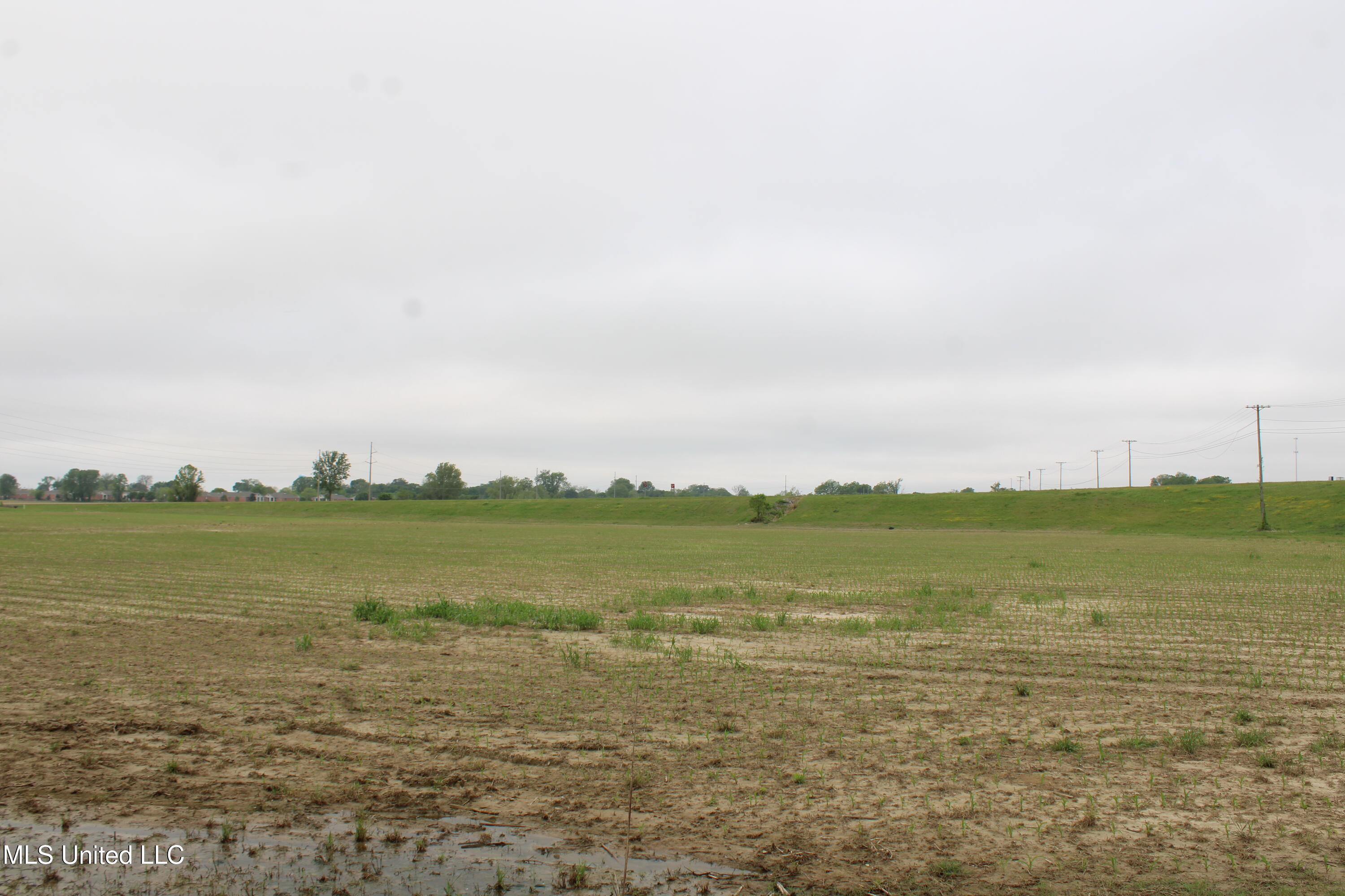 8311 Highway 302 Road Walls, MS 38680 - Photo 14 of 54 IMG_5919