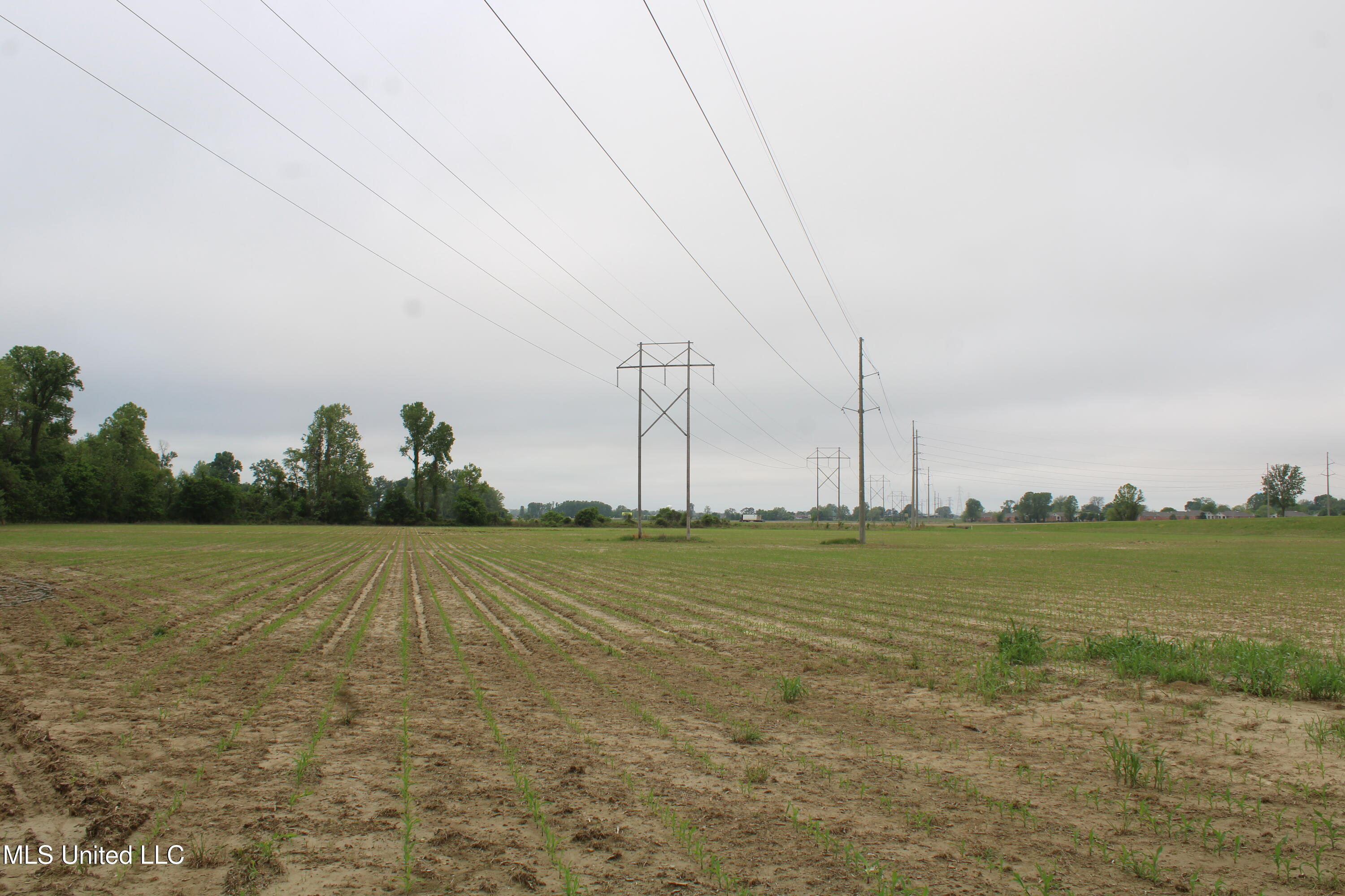 8311 Highway 302 Road Walls, MS 38680 - Photo 15 of 54 IMG_5920