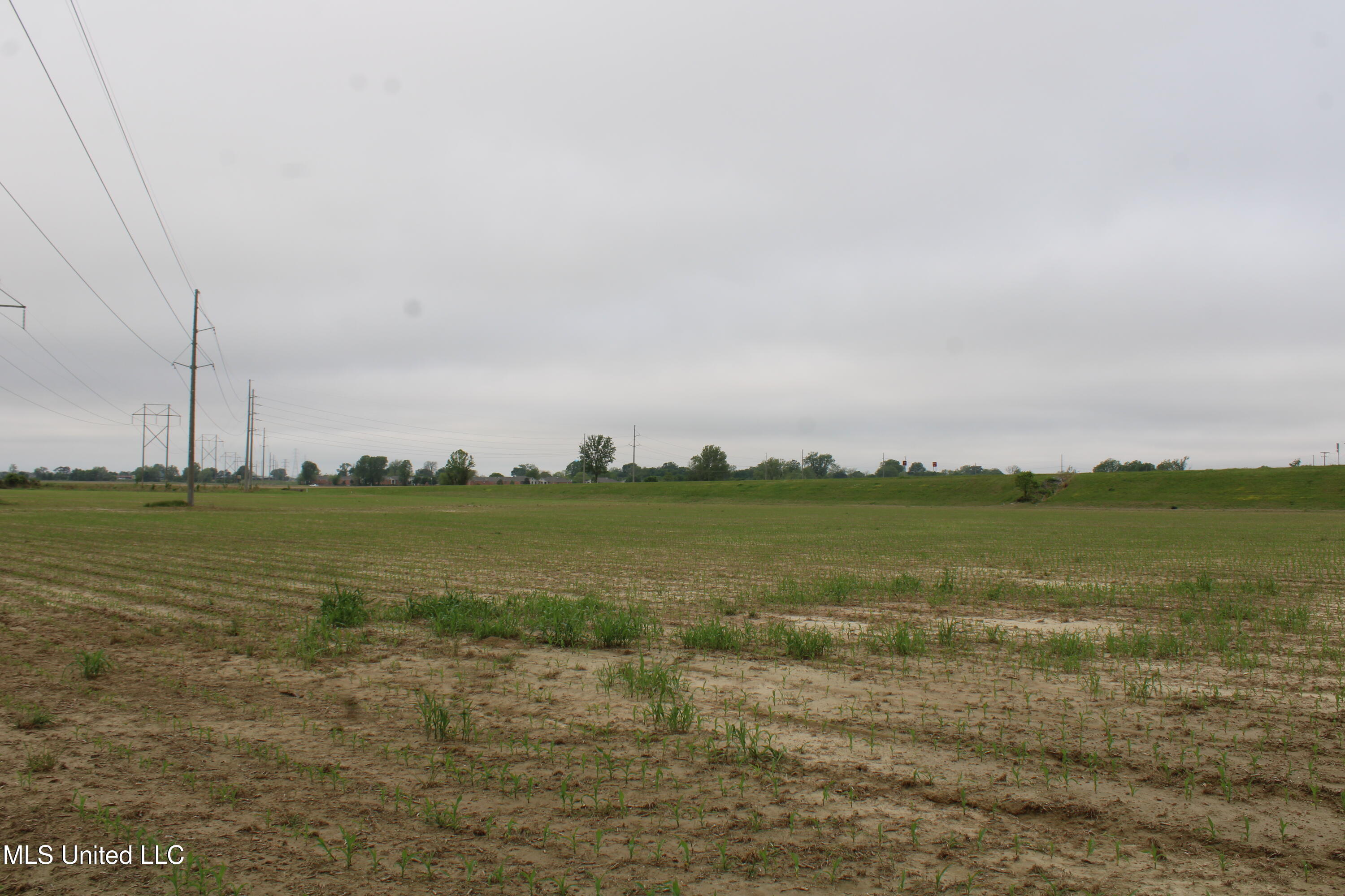 8311 Highway 302 Road Walls, MS 38680 - Photo 16 of 54 IMG_5921