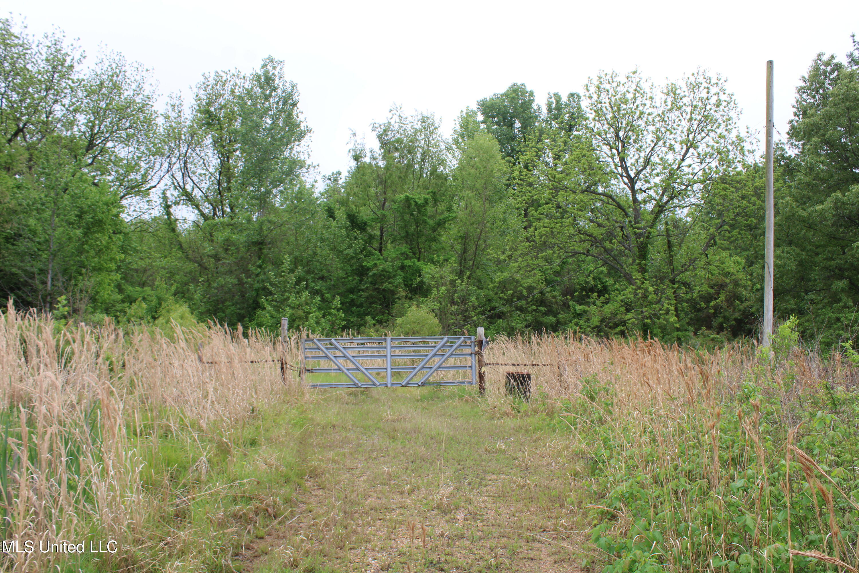 8311 Highway 302 Road Walls, MS 38680 - Photo 17 of 54 IMG_5922