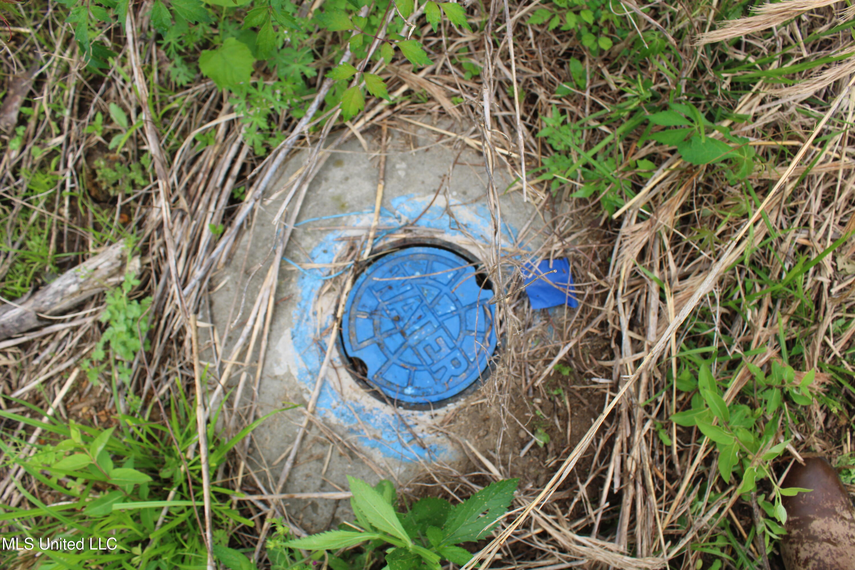 8311 Highway 302 Road Walls, MS 38680 - Photo 18 of 54 IMG_5924