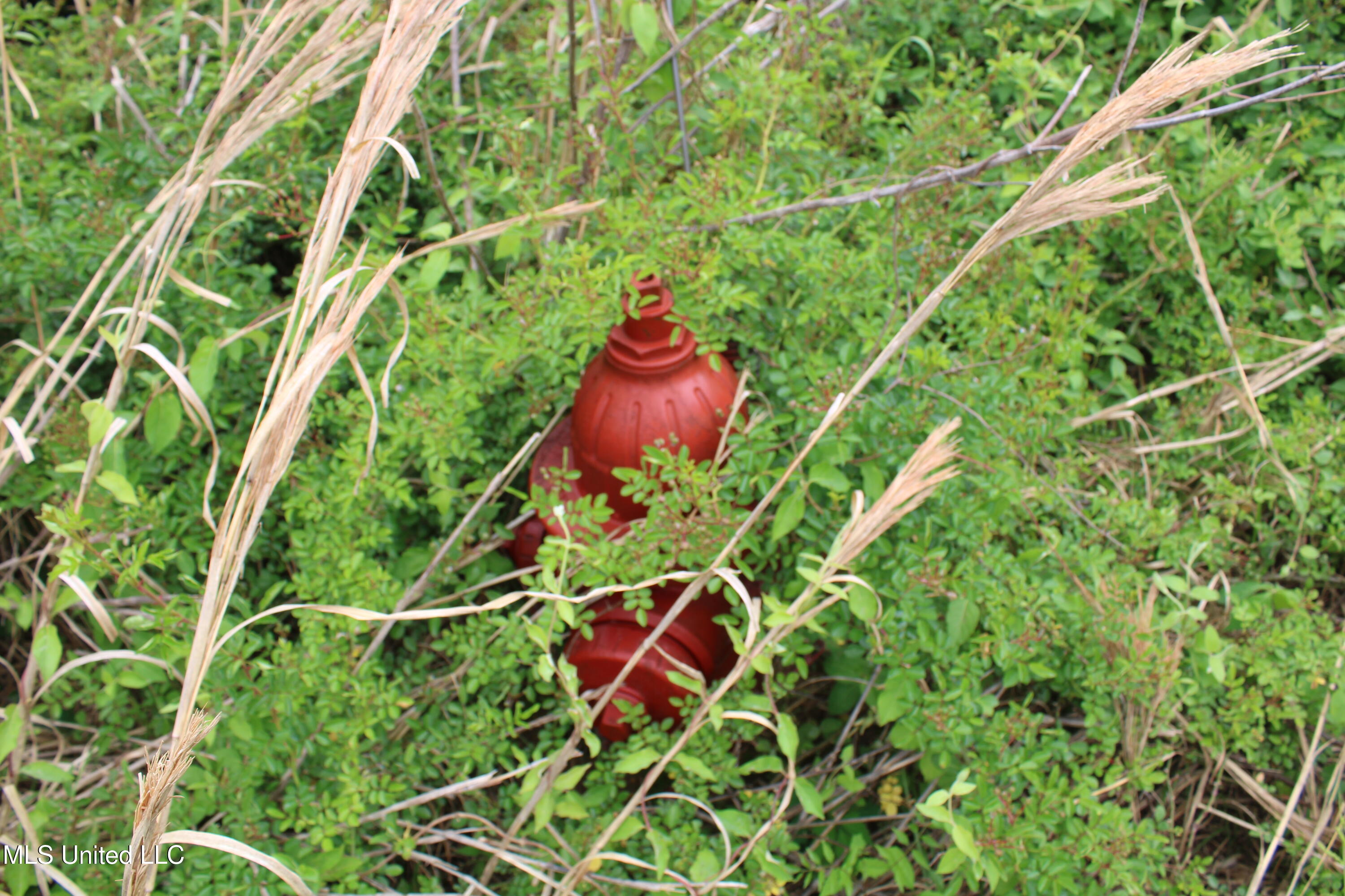 8311 Highway 302 Road Walls, MS 38680 - Photo 19 of 54 IMG_5925