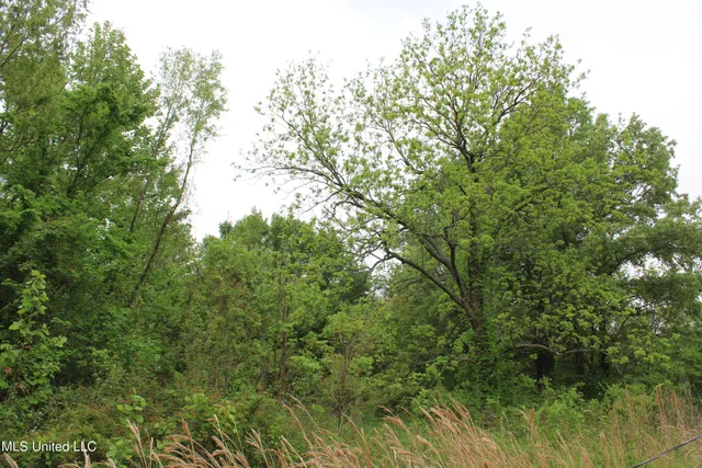 $399,000 | 8311 Highway 302 Road, Walls, MS 38680