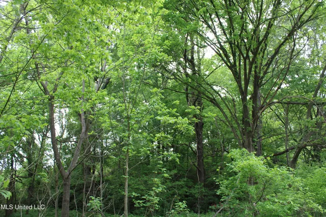 $399,000 | 8311 Highway 302 Road, Walls, MS 38680