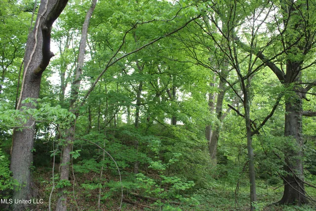 $399,000 | 8311 Highway 302 Road, Walls, MS 38680