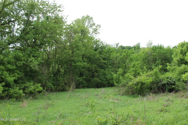 $399,000 | 8311 Highway 302 Road, Walls, MS 38680