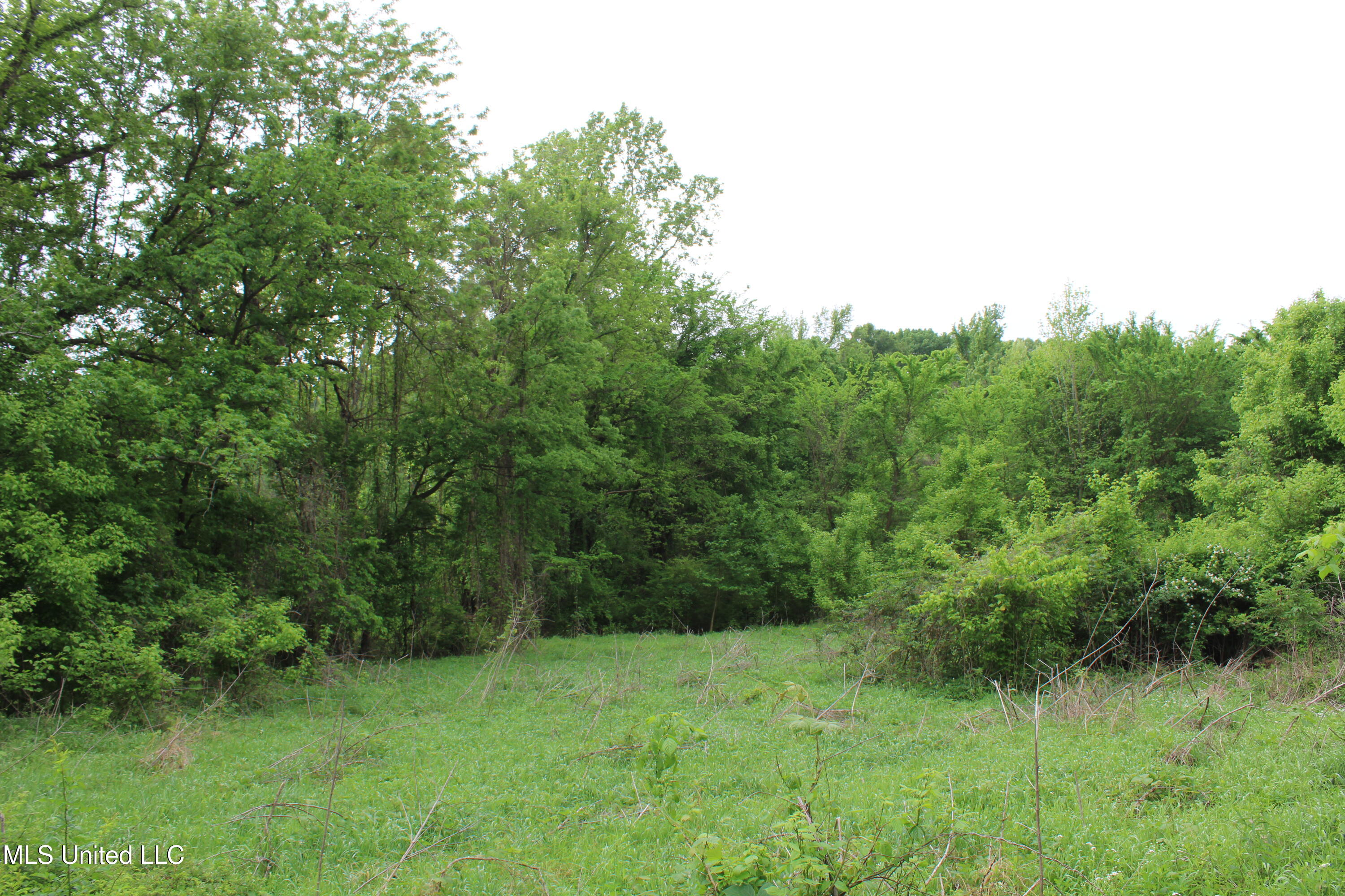 8311 Highway 302 Road Walls, MS 38680 - Photo 24 of 54 IMG_5933