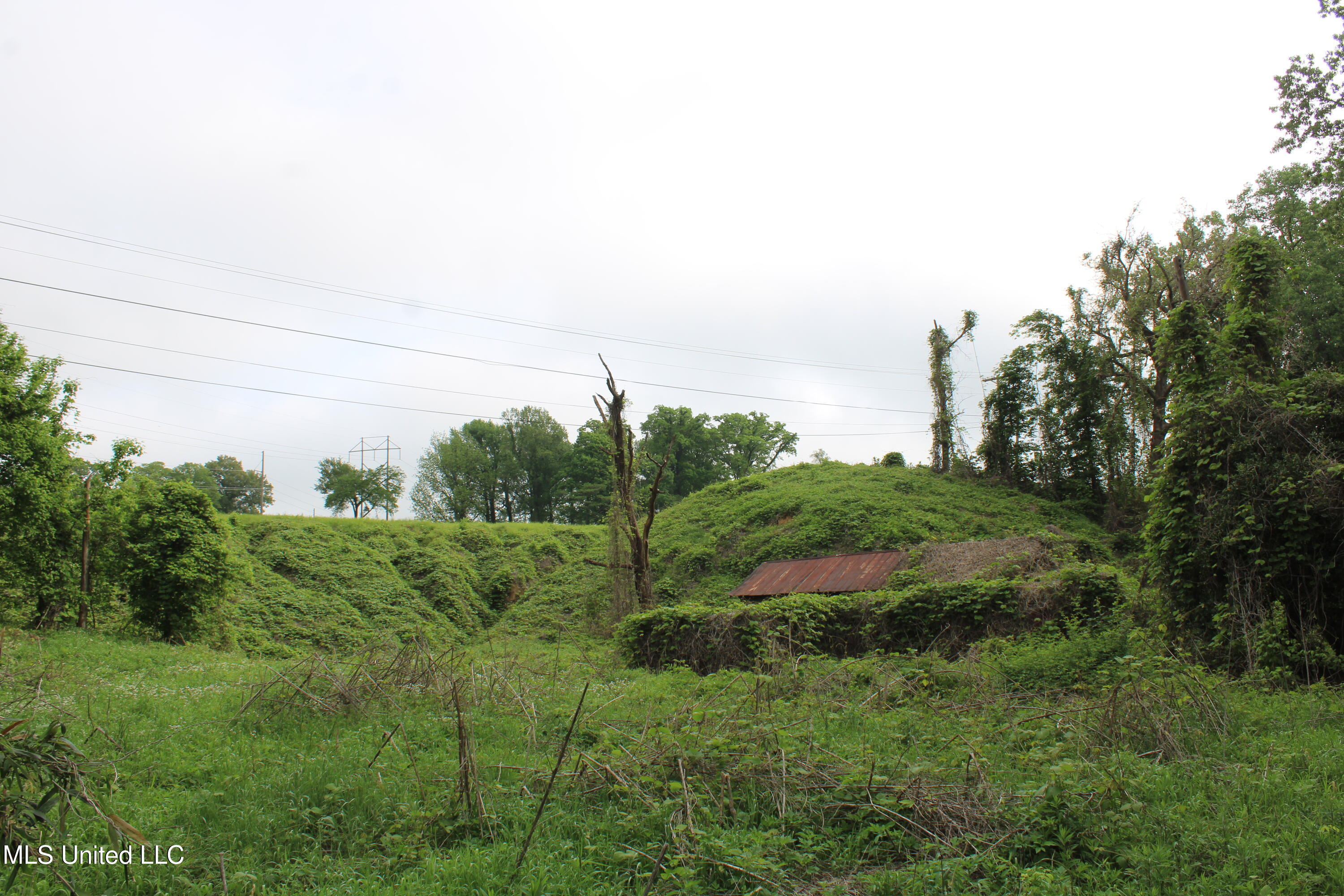 8311 Highway 302 Road Walls, MS 38680 - Photo 25 of 54 IMG_5934