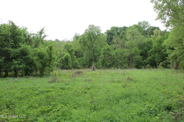 $399,000 | 8311 Highway 302 Road, Walls, MS 38680