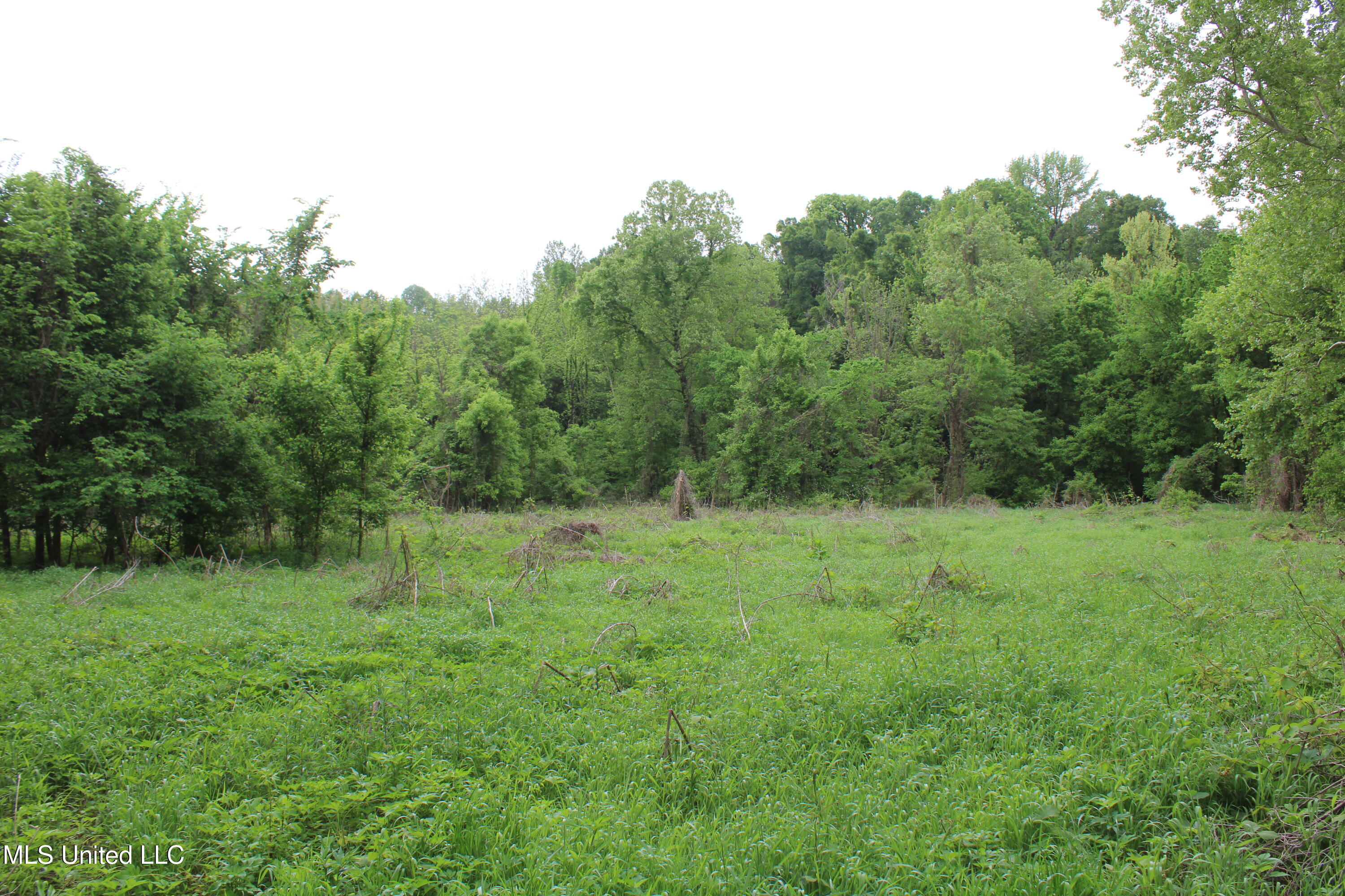 8311 Highway 302 Road Walls, MS 38680 - Photo 27 of 54 IMG_5936