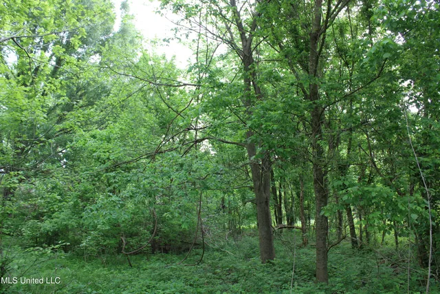 $399,000 | 8311 Highway 302 Road, Walls, MS 38680