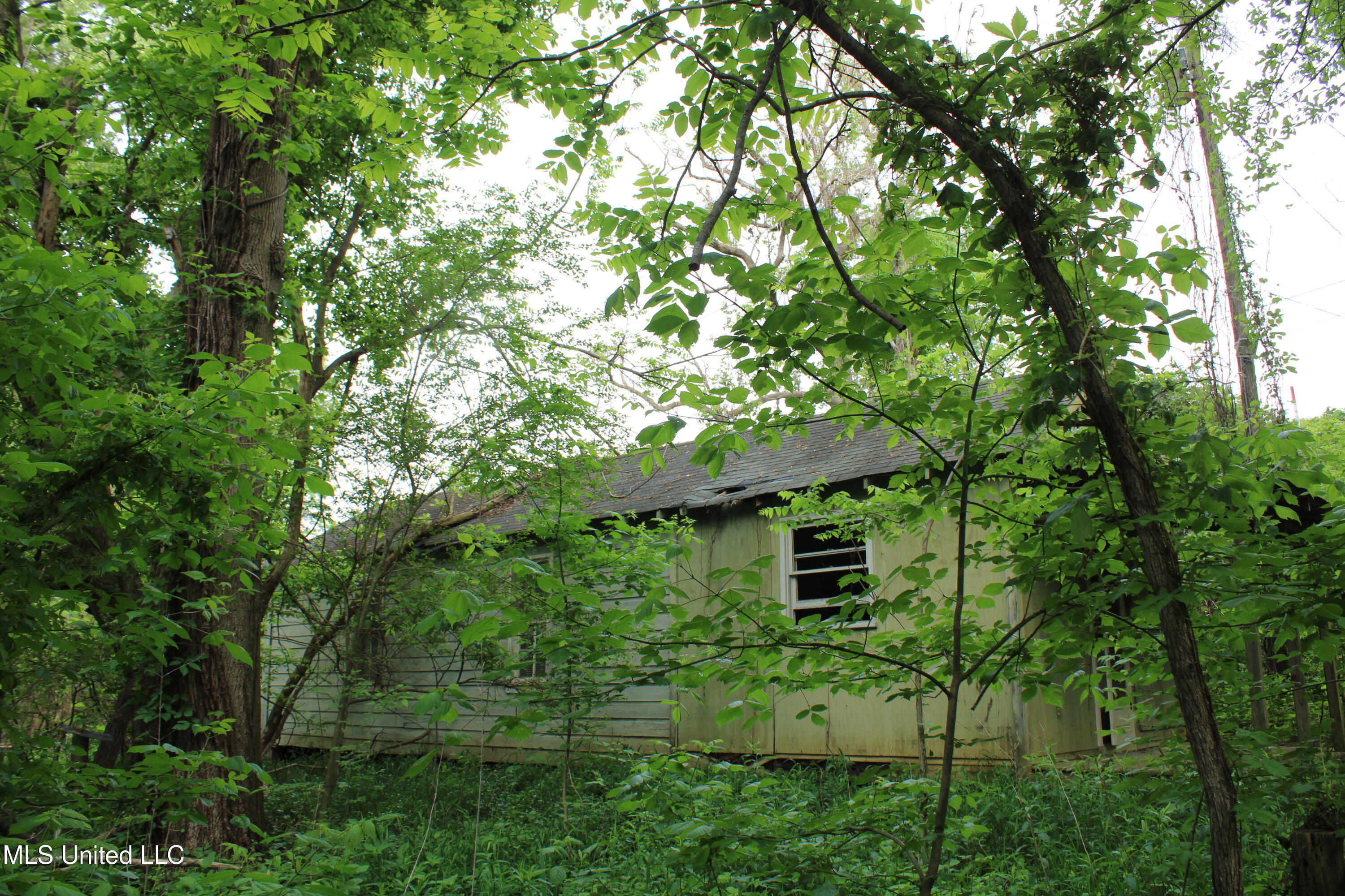 8311 Highway 302 Road Walls, MS 38680 - Photo 29 of 54 IMG_5938