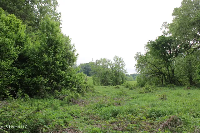 $399,000 | 8311 Highway 302 Road, Walls, MS 38680