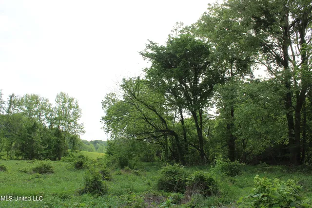 $399,000 | 8311 Highway 302 Road, Walls, MS 38680