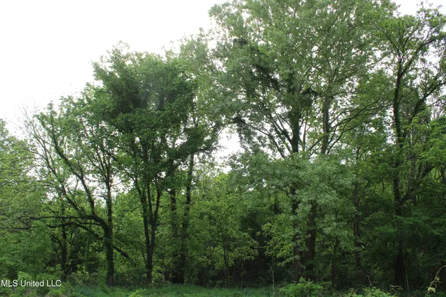 $399,000 | 8311 Highway 302 Road, Walls, MS 38680