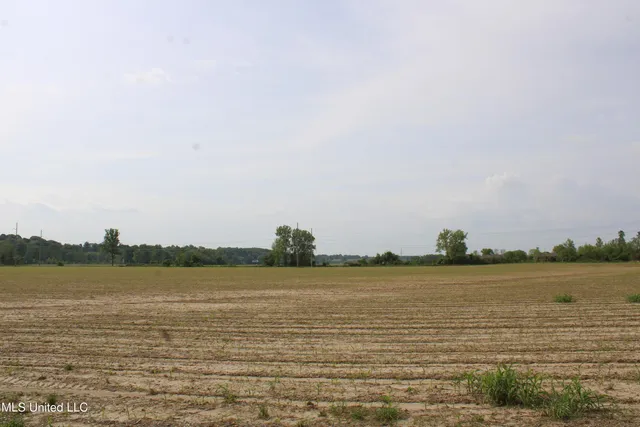 $399,000 | 8311 Highway 302 Road, Walls, MS 38680