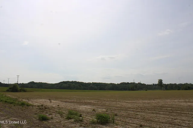 $399,000 | 8311 Highway 302 Road, Walls, MS 38680