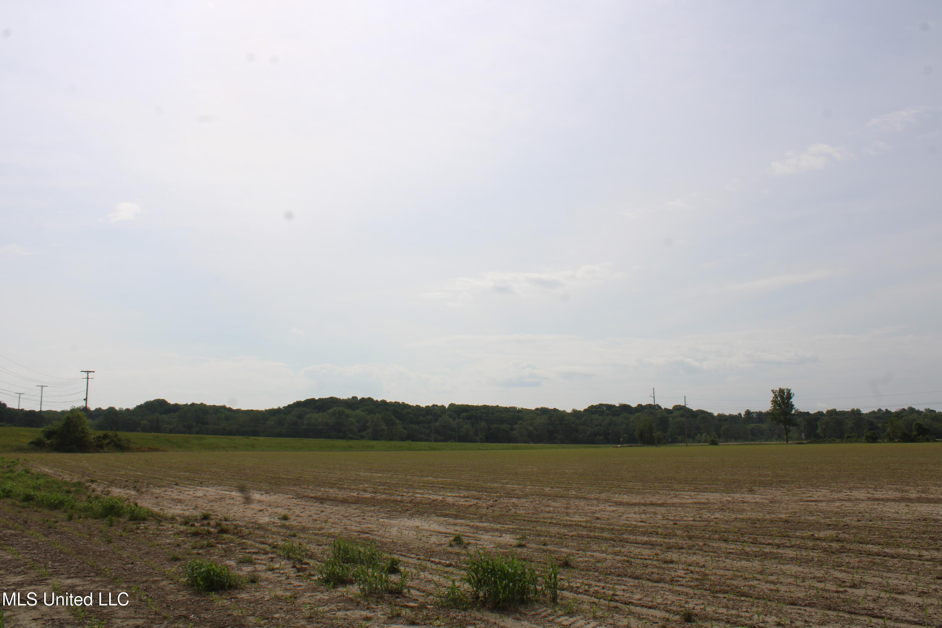 8311 Highway 302 Road Walls, MS 38680 - Photo 38 of 54 IMG_5952