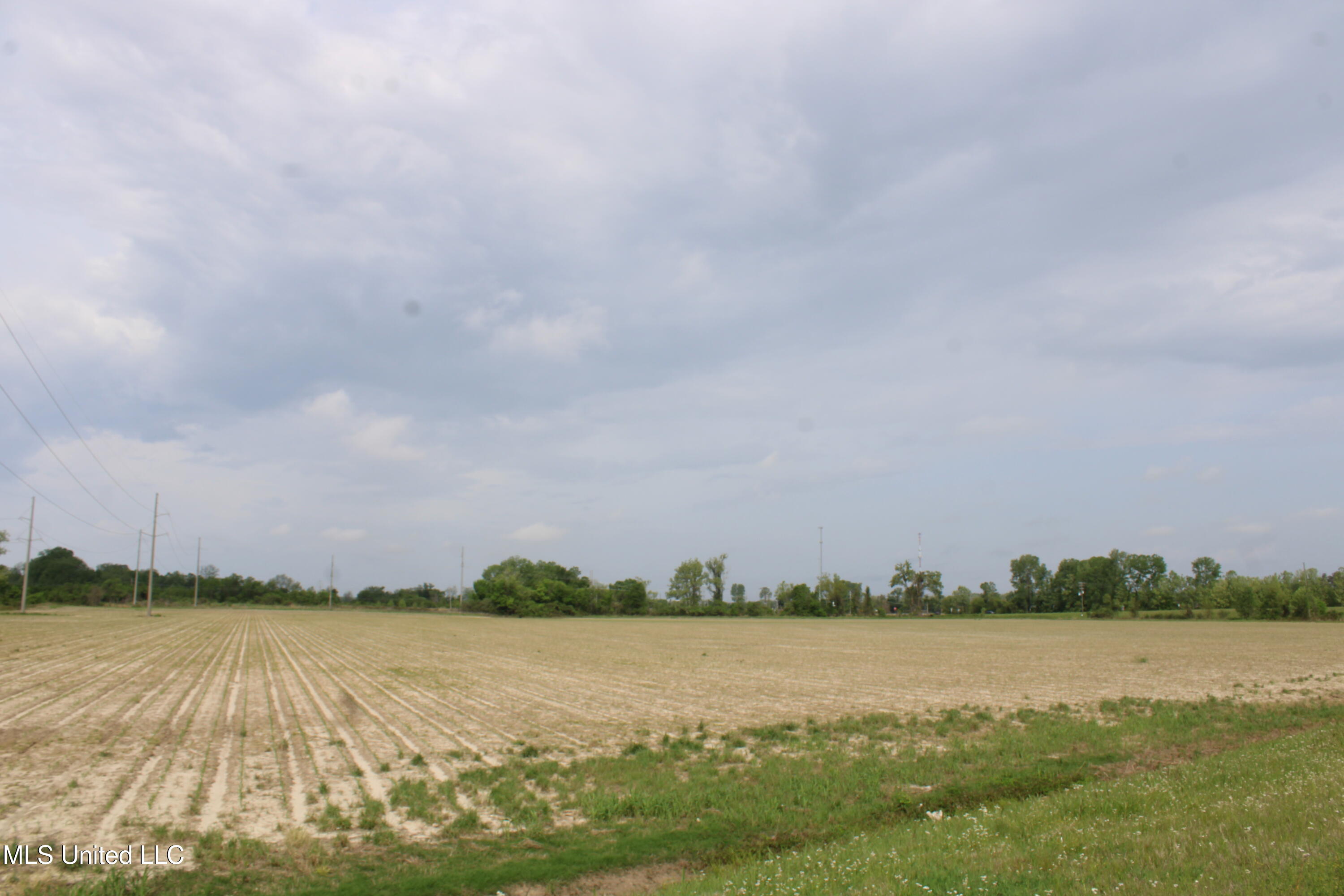 8311 Highway 302 Road Walls, MS 38680 - Photo 43 of 54 IMG_5957