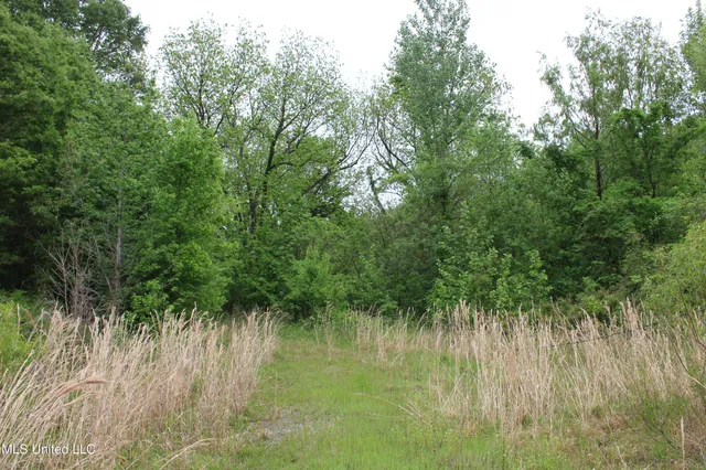 $399,000 | 8311 Highway 302 Road, Walls, MS 38680