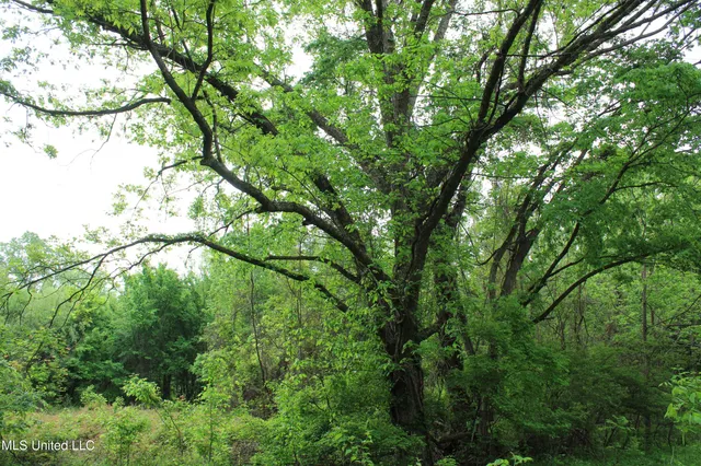 $399,000 | 8311 Highway 302 Road, Walls, MS 38680