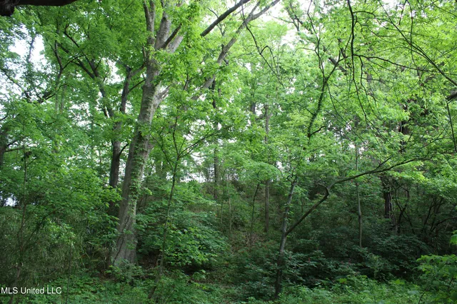 $399,000 | 8311 Highway 302 Road, Walls, MS 38680