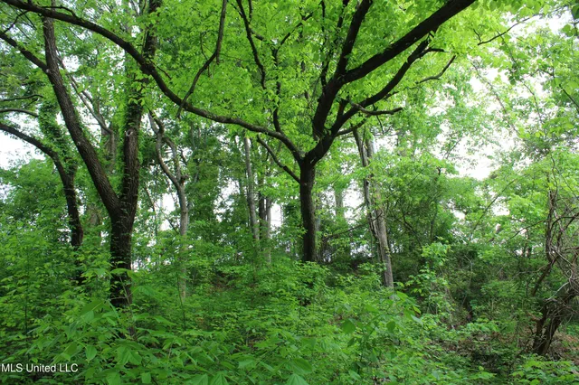 $399,000 | 8311 Highway 302 Road, Walls, MS 38680