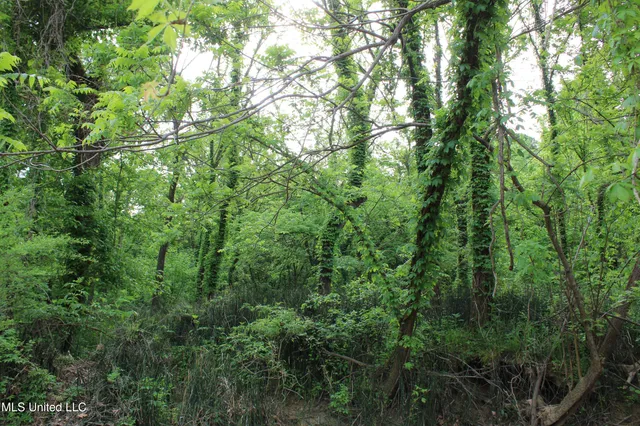 $399,000 | 8311 Highway 302 Road, Walls, MS 38680